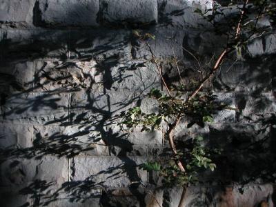 church wall