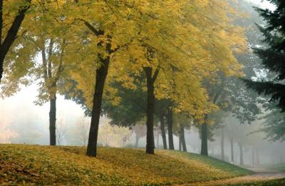 fall mornings2
