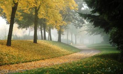 fall mornings