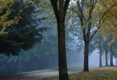 mist