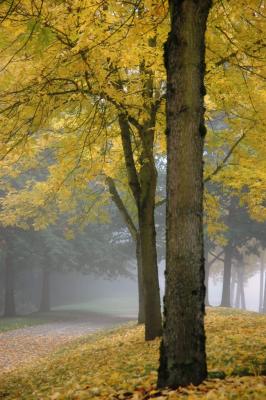mornings on campus