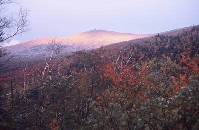 Mt. Tom from Zealand Hut 164.jpg