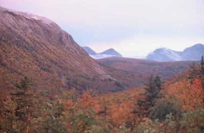 Zealand Notch 173.jpg