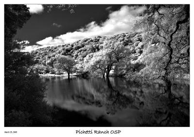 Pond at Pichetti Ranch OSP in Infrared