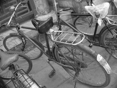 u7/bryan_murahashi/medium/6278348.Dscn2503_BikeBW.jpg