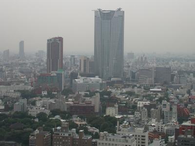 View from the Tokyo TV Tower