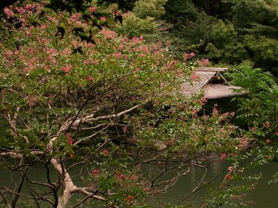 Happoen Garden, Tokyo