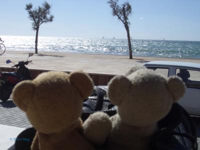 Portixol/Mallorca - bears waving good-bye.jpg