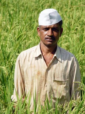 dad-in-rice-paddy.jpg