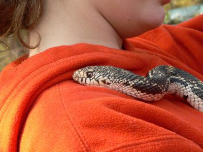 Photo 12: Holding the snakes