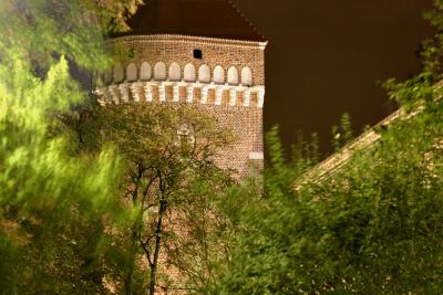 CRW_2581.jpg