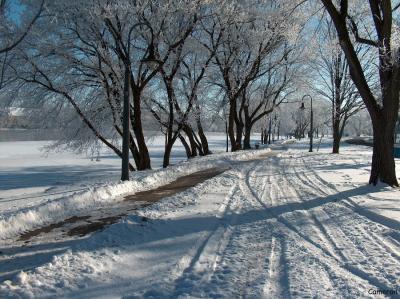 Winter - 002