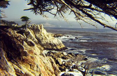 Lone Cypress - Pebble Beach