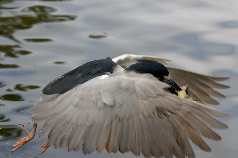 DSC_8238.jpg