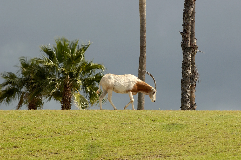 DSC_8403.jpg