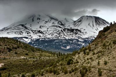 Contrasts - Mount Shasta