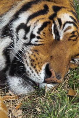 u7/cjmax/medium/41010759.IMG01397.jpg