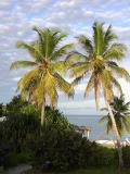 Two Palms, Dawn Beach
