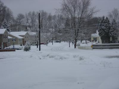 Canon Pics 241.jpg