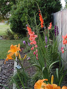 garden path