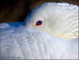 I got my eye on you…