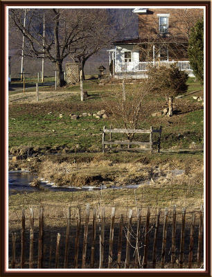 Tree Protection from Vicious Cows (farm, fence)