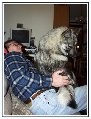 When we said we wanted a lapdog, little did we know...