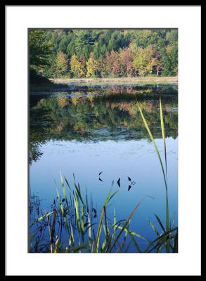 Fall Reflections on Resevoir