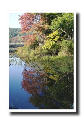 Resevoir (Fall, reflections, foliage)