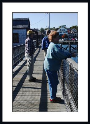 Sightseeing from the Boothbay Harbor footbridge.