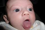 ....close-ups. This is my favorite!