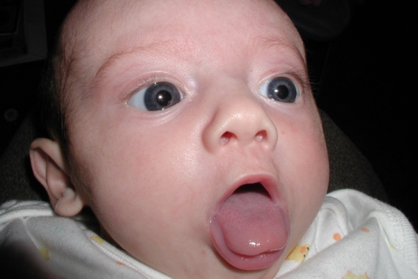 ....close-ups. This is my favorite!
