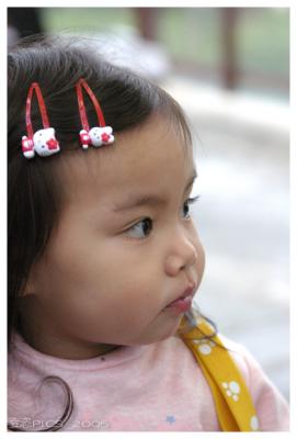 u7/colan/medium/41181255.Ocean_Park_Mar16Ocean_Park_110_JFR.jpg
