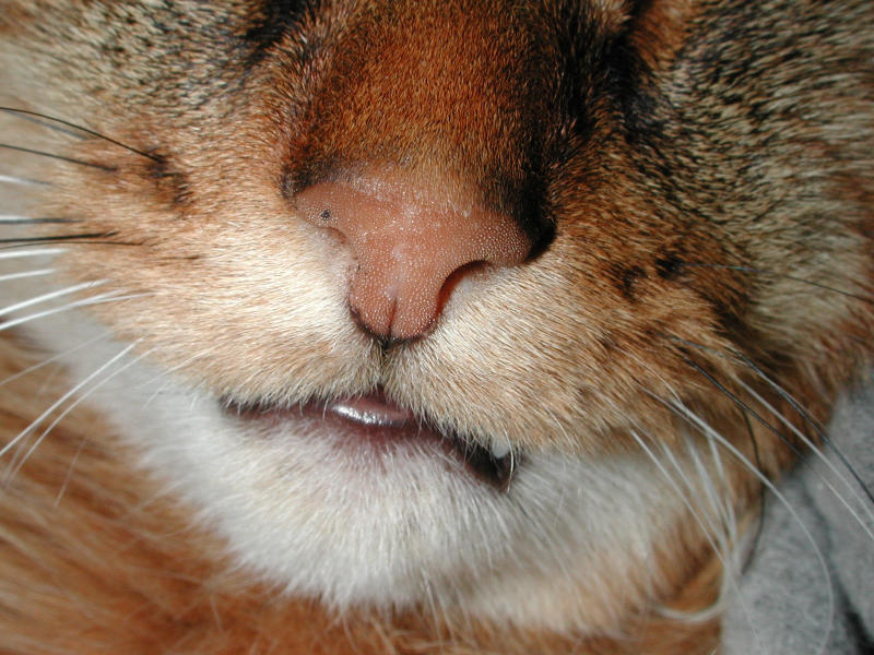DSCN6346.JPG