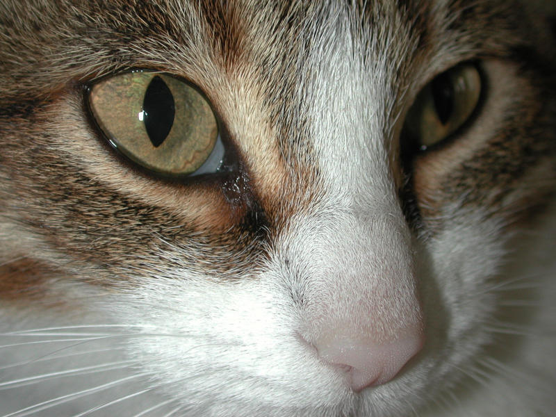 DSCN6325.JPG