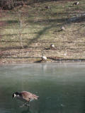 DSCN6741.JPG