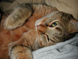 DSCN6357.JPG