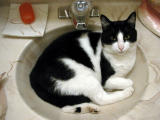 DSCN6471.JPG