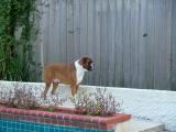 rafiki_100703b.JPG