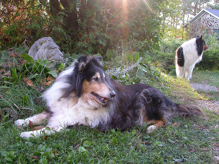 Maggie, Brie and Aslan