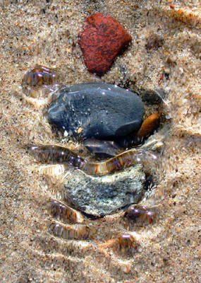 Sand and Sea 2.jpg