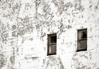 Old Windows by CindyD