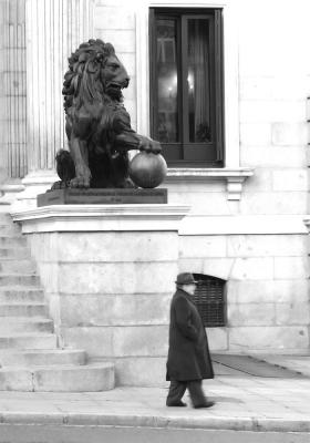 Dangerous lion *
