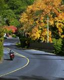 <b>Alone on the Road</b> <br>by j trujillo