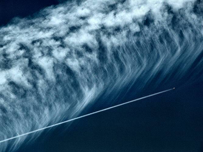 Lone Flier *
