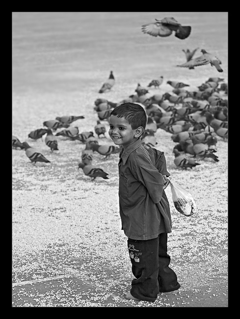 Joy<br><i>by Vikas</i>