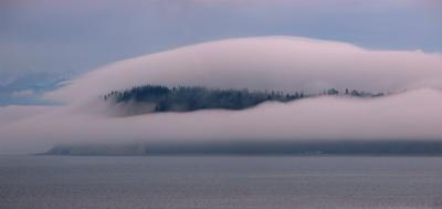 Foggy Bluff