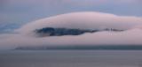 Foggy Bluff
