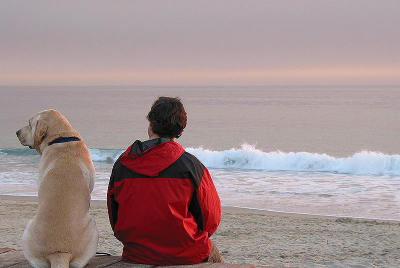 Love is Companionshipby Emese Gaal