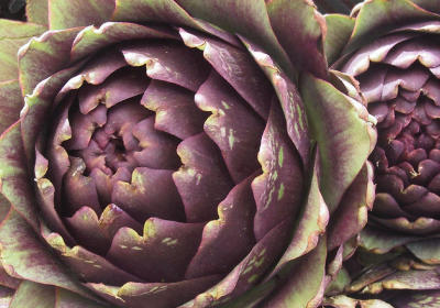 Jumbo Artichokes